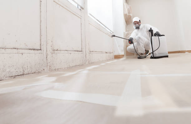 24/7 Emergency Commercial Mold Remediation experts in Jacksonville, TX