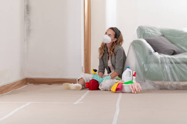 Reliable Commercial Mold Remediation contractor in Jacksonville, TX by 24 Hour Mold Removal