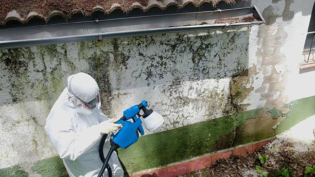 Top rated local Commercial Mold Remediation specialists in Jacksonville, TX